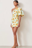 Francine Asym MIni Dress