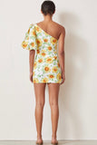 Francine Asym MIni Dress