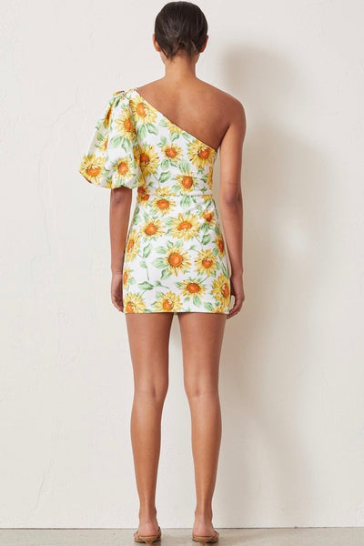Francine Asym MIni Dress